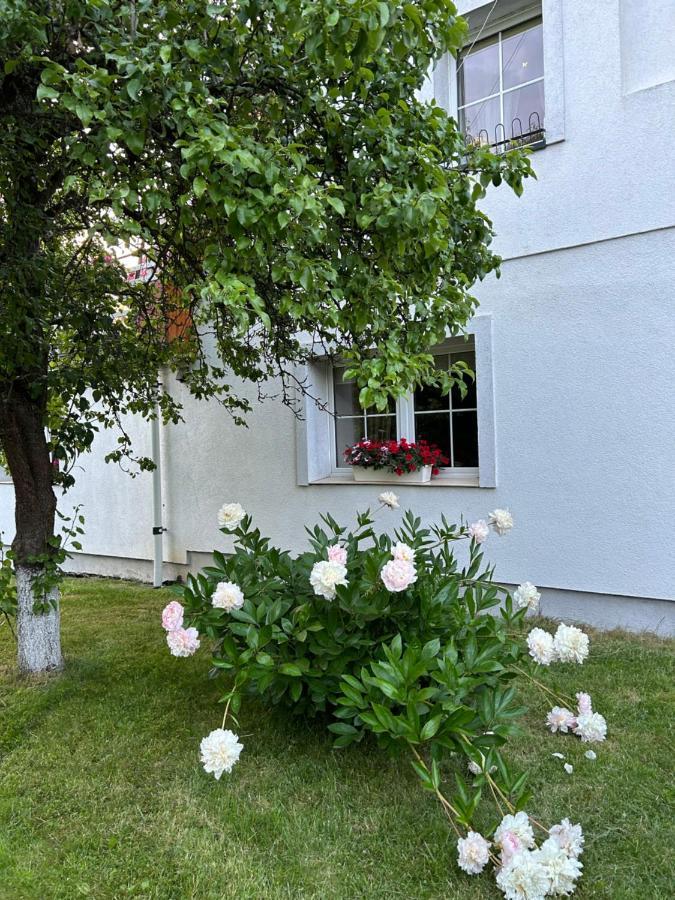 Apartamenty Stokrotka ล็องเดก-ซดรุย ภายนอก รูปภาพ